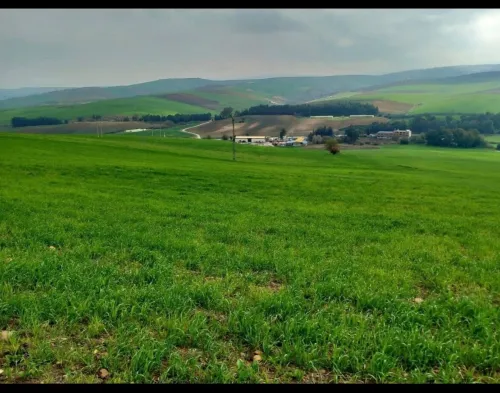 Vente Terrain Agricole Constantine Didouche mourad