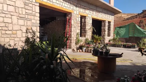 Vente Terrain Tlemcen Mansourah