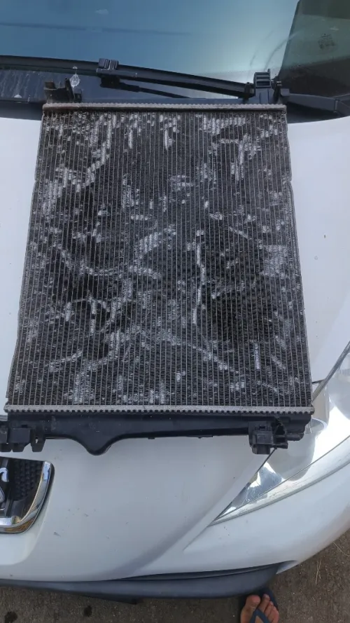 Radiateur d eau Mégane 4