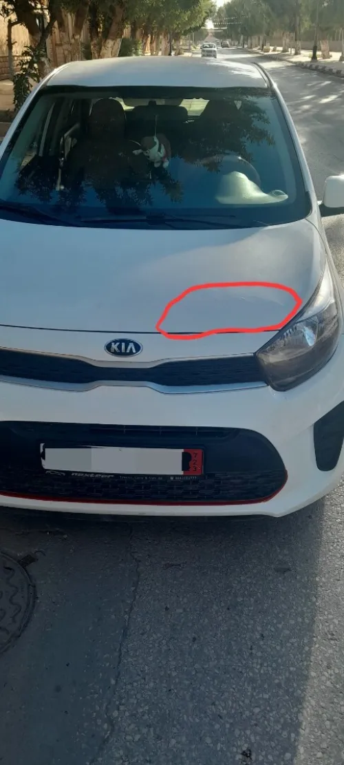 Kia Picanto 2019 LX Start