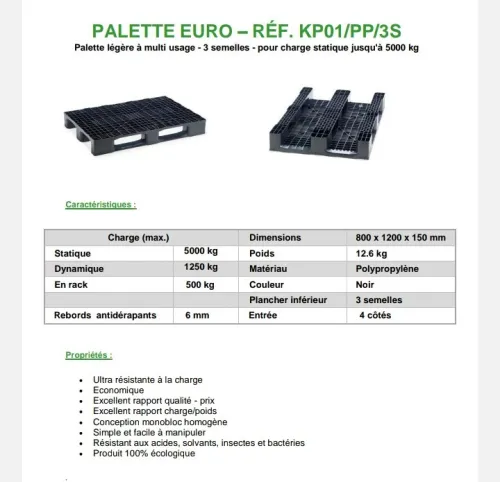 Palette en plastique