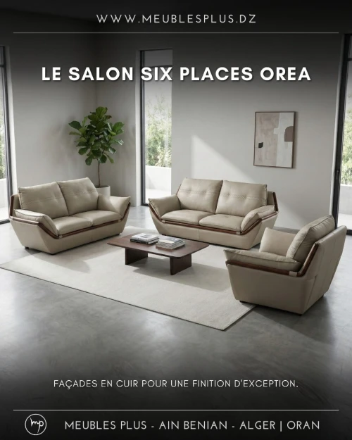 SALON 6 PLACES EN CUIR