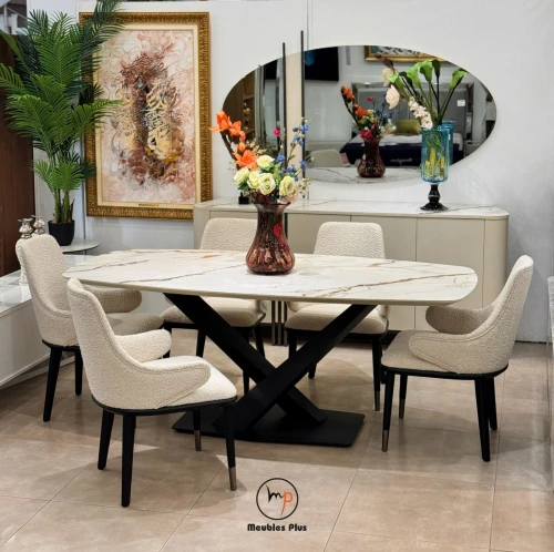 TABLE AVEC 6 CHAISES