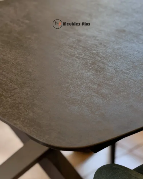 TABLE EXTENSIBLE avec 8 chaises