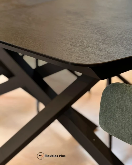 TABLE EXTENSIBLE avec 8 chaises
