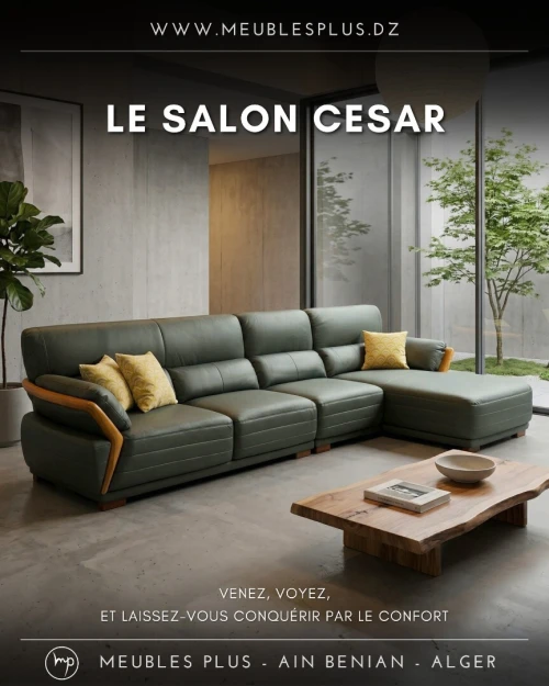 SALON L CESAR