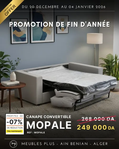 PROMO FIN D'ANNEE SALON