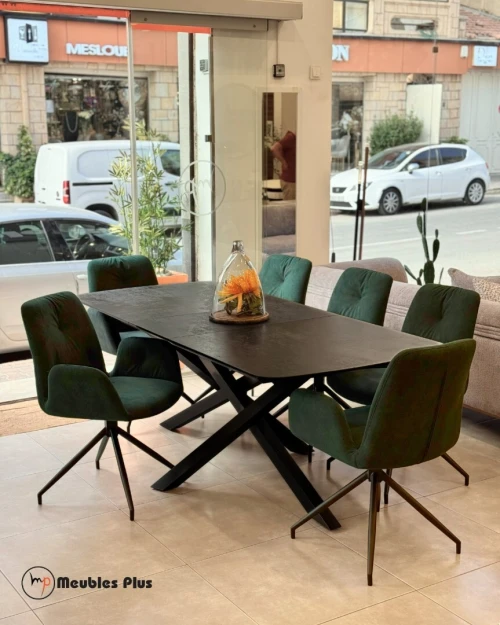 TABLE EXTENSIBLE avec 8 chaises