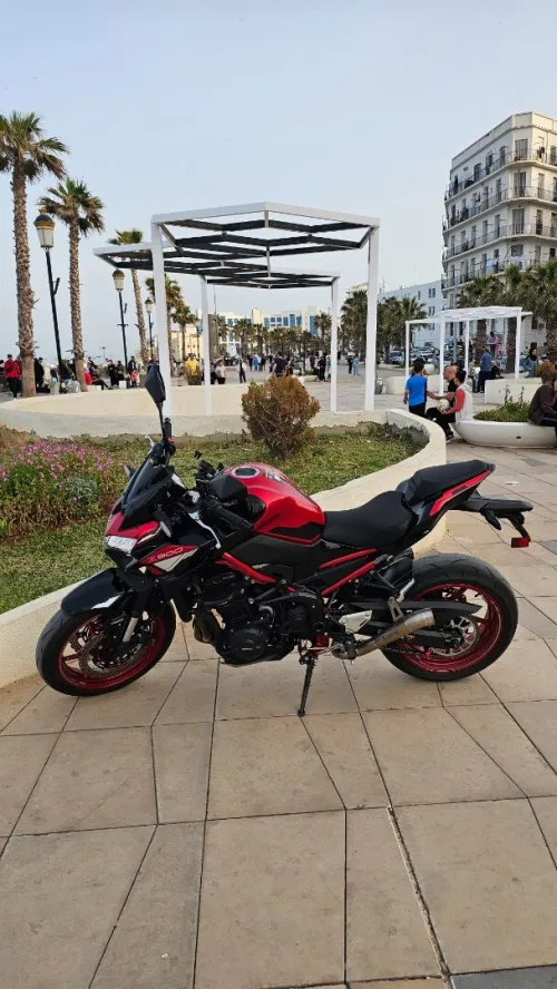 Kawasaki Z900 2024