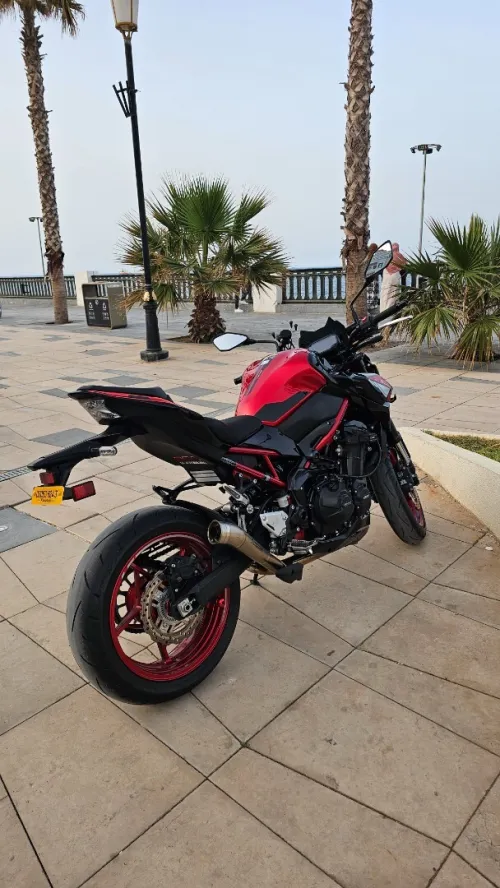 Kawasaki Z900 2024