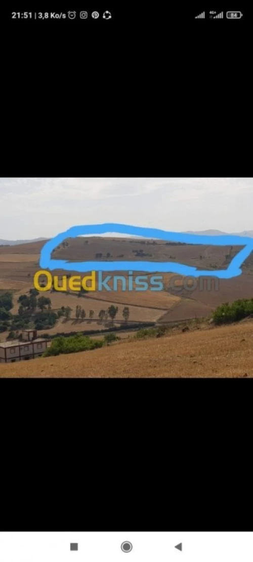 Vente Terrain Agricole Tizi ouzou Ain zaouia