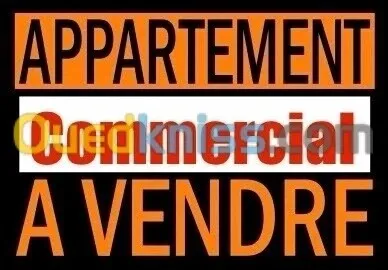 Vente Appartement F3 Alger Alger centre