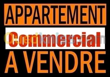 Vente Appartement F10+ Alger Sidi mhamed