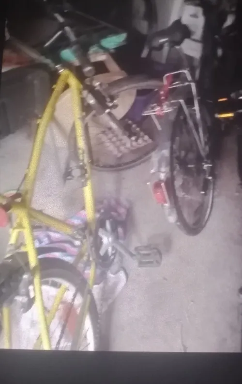 Velo Vtt 2020
