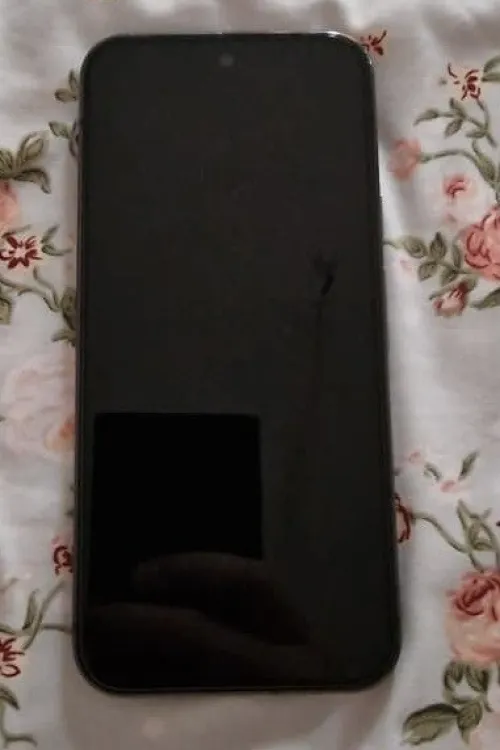 Google Pixel 9 pro xl
