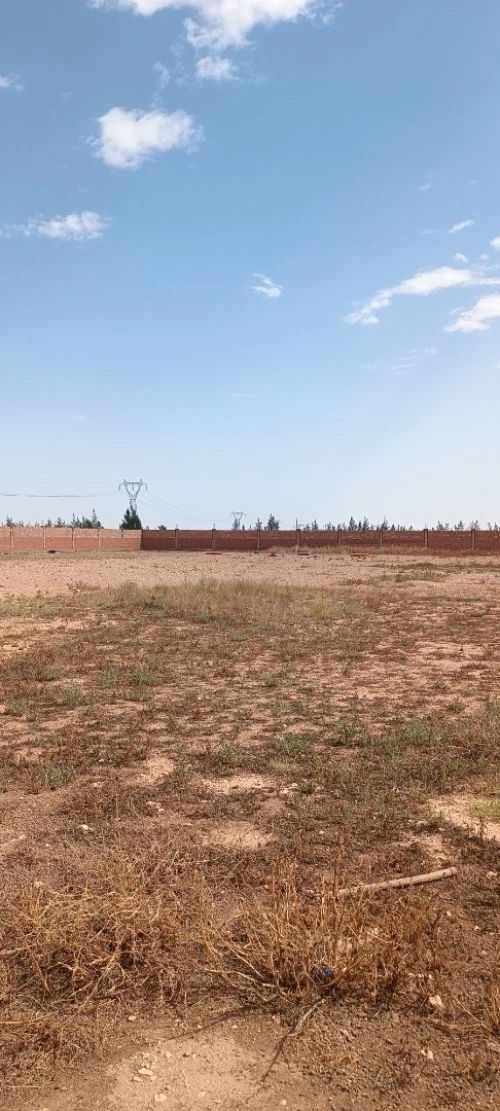 Vente Terrain Agricole Djelfa Ain oussara