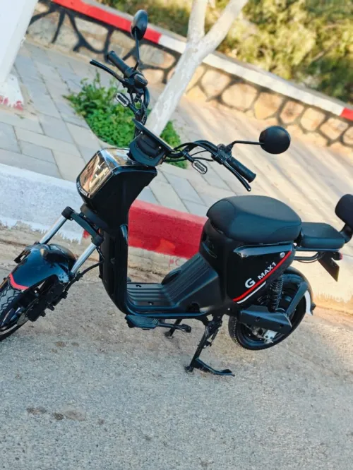 NIU Scooter G max1 2024