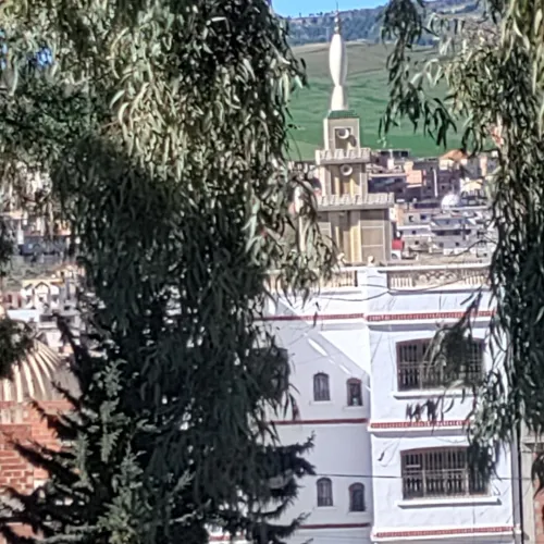 Vente Villa Guelma Oued zenati