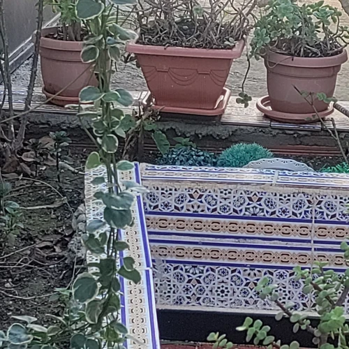 Vente Villa Guelma Oued zenati