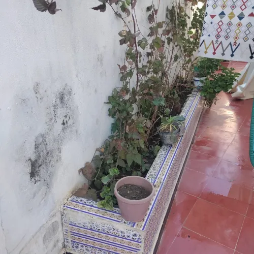 Vente Villa Guelma Oued zenati