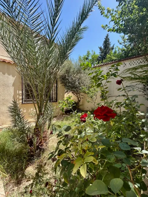 Location Villa Alger Cheraga