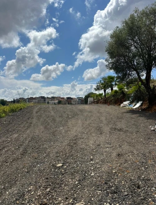 Location Terrain Alger Draria