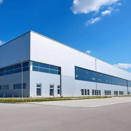 Vente Hangar - Usine Sétif Setif