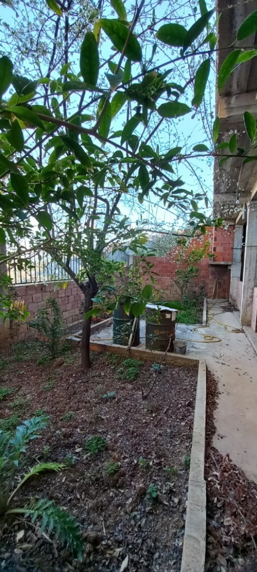 Vente Carcasse Béjaïa Bejaia