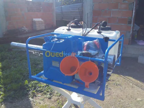 nett et demoustication