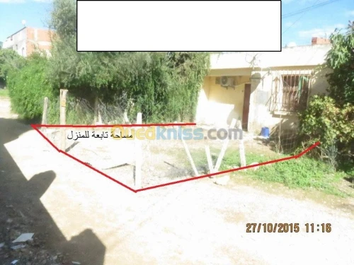 Vente bien immobilier Guelma Hammam maskhoutine