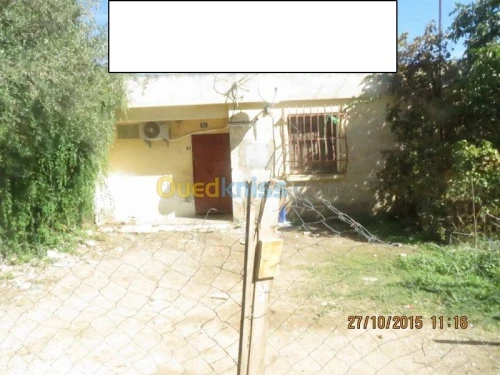 Vente bien immobilier Guelma Hammam maskhoutine