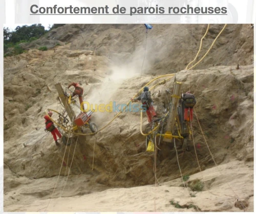 Location Chariot forage léger