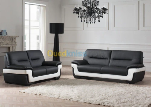 Meuble  et Salon de luxe