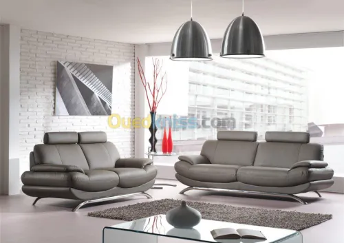 Meuble  et Salon de luxe