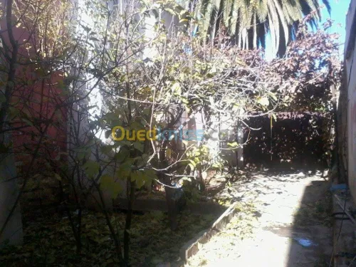 Vente Niveau De Villa F7 Sidi bel abbes Tenira