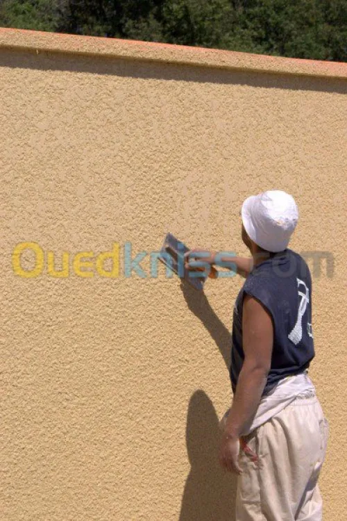 décoration  et revétement de façade