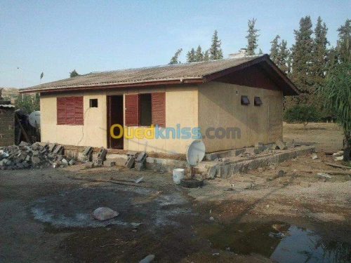 Vente Bungalow Chlef Chettia
