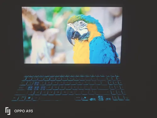 Asus v16