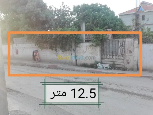 Vente Terrain Blida Bougara