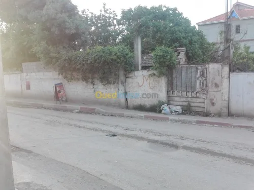 Vente Terrain Blida Bougara