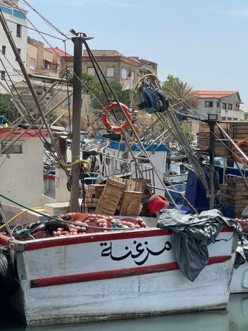 Zemmouri