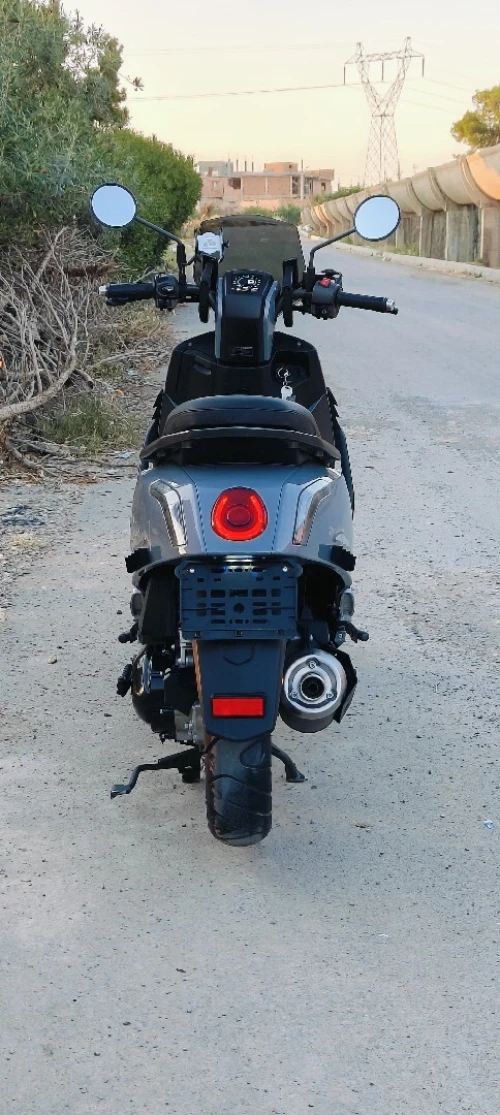 Vms Gemma 2025