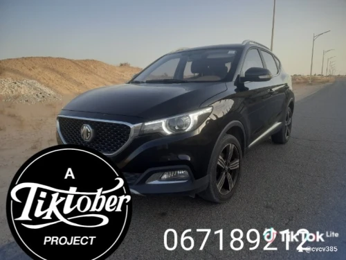MG ZS 2022 Feul
