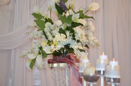 camera women et photographe