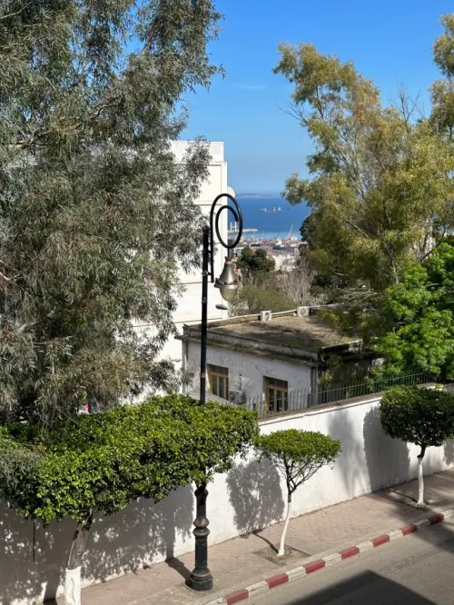 Location Immeuble Alger El mouradia