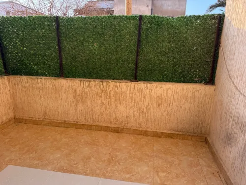Location Appartement F4 Alger Cheraga