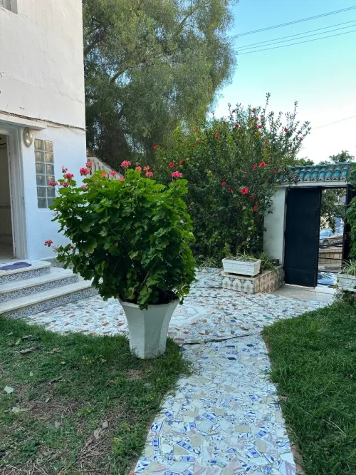 Location Appartement F3 Alger Hydra