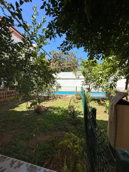 Location Duplex F12 Alger Dely brahim