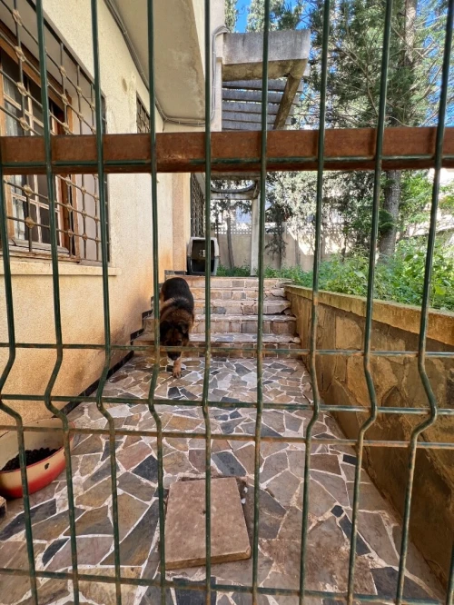 Location Villa Alger Cheraga