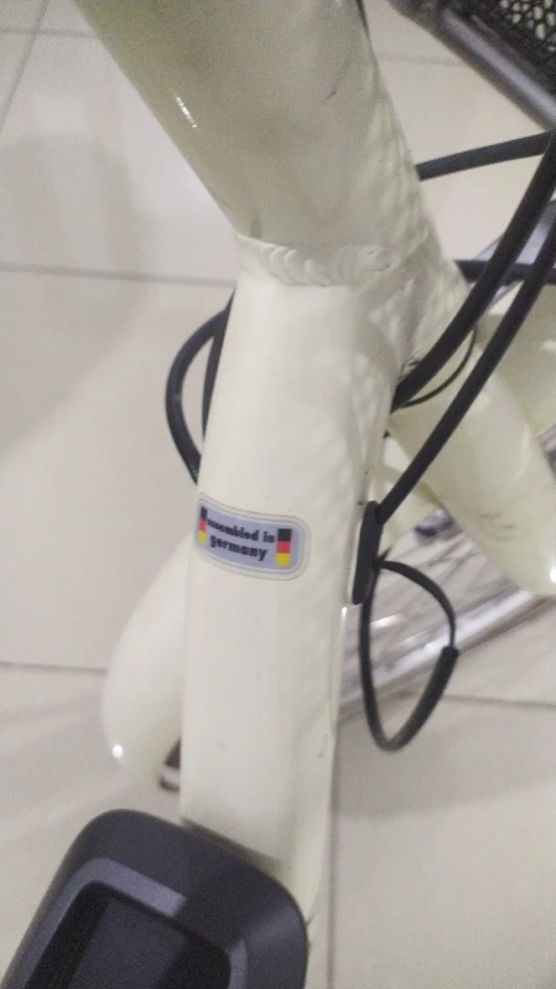 Vélo électrique Electra Go